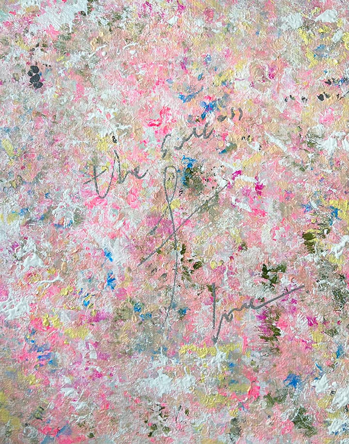 안개꽃 [Gypsophila]