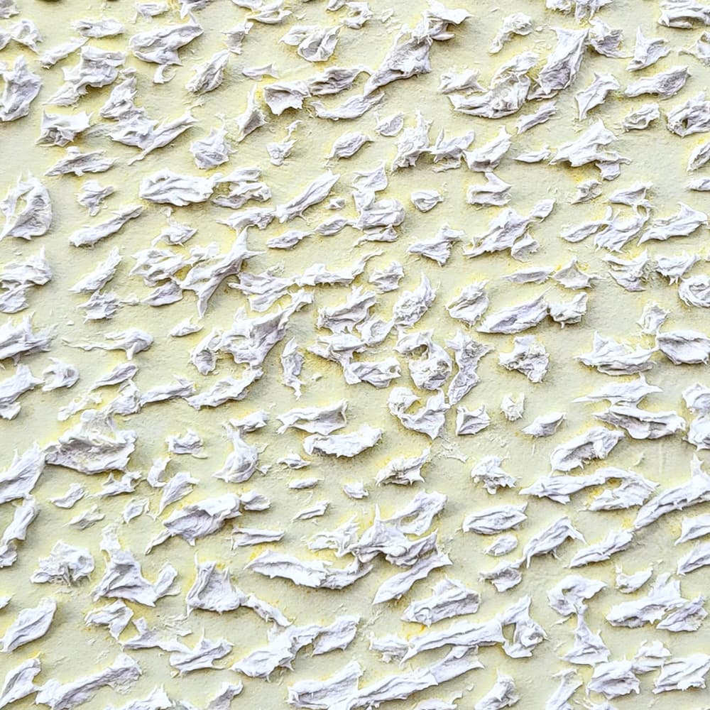 auction detail image