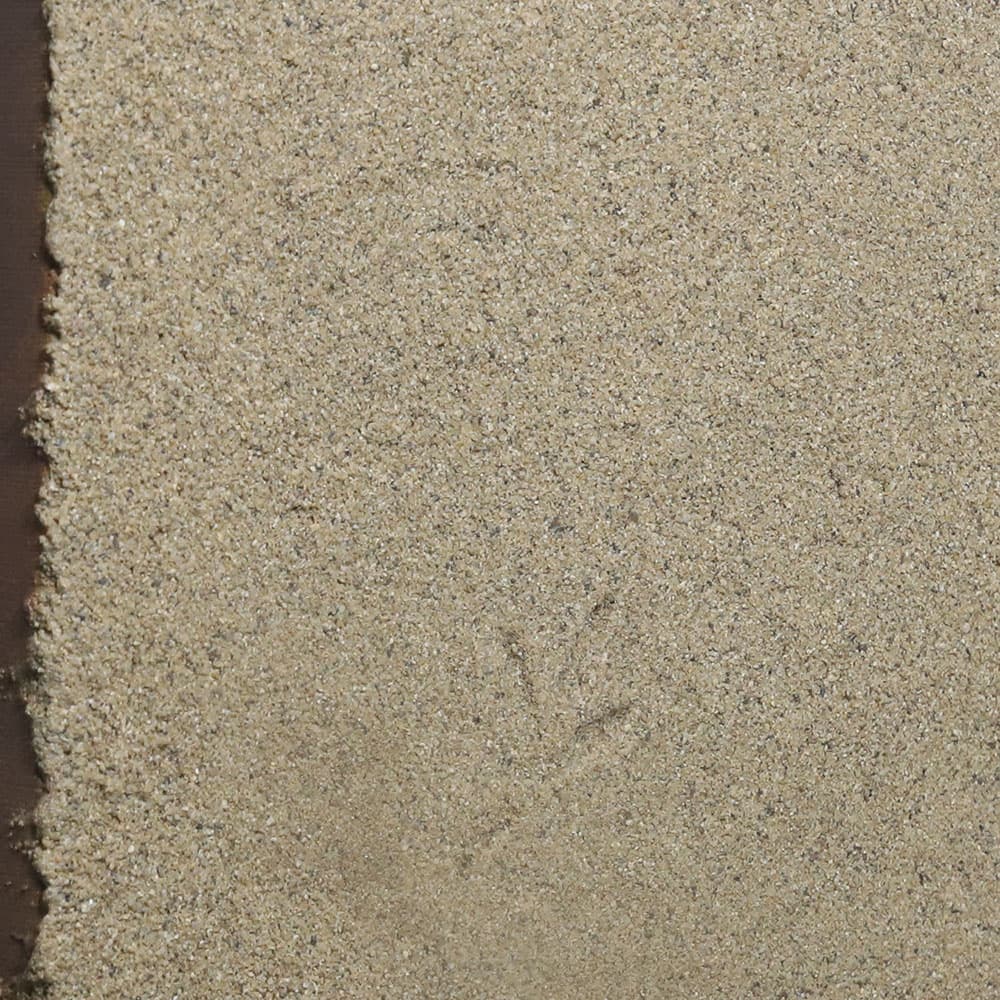 auction detail image