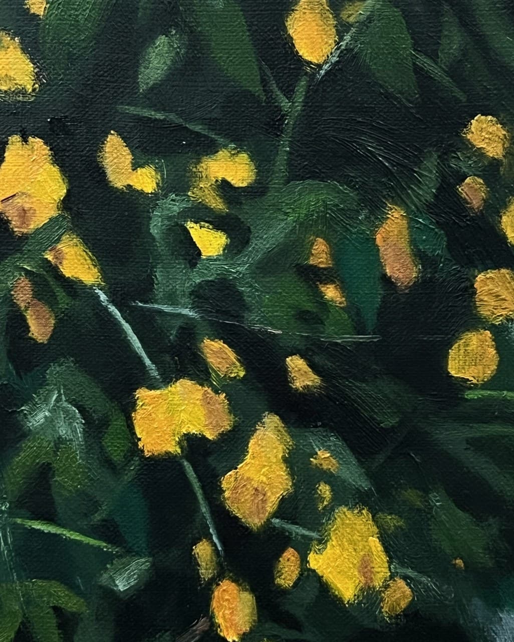 auction detail image