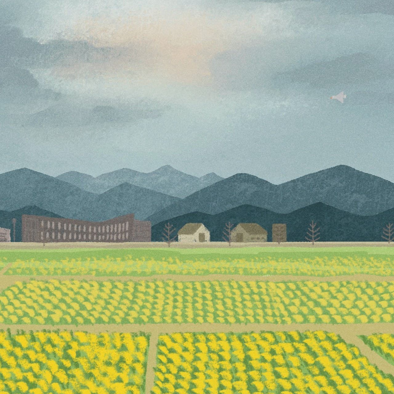 auction detail image