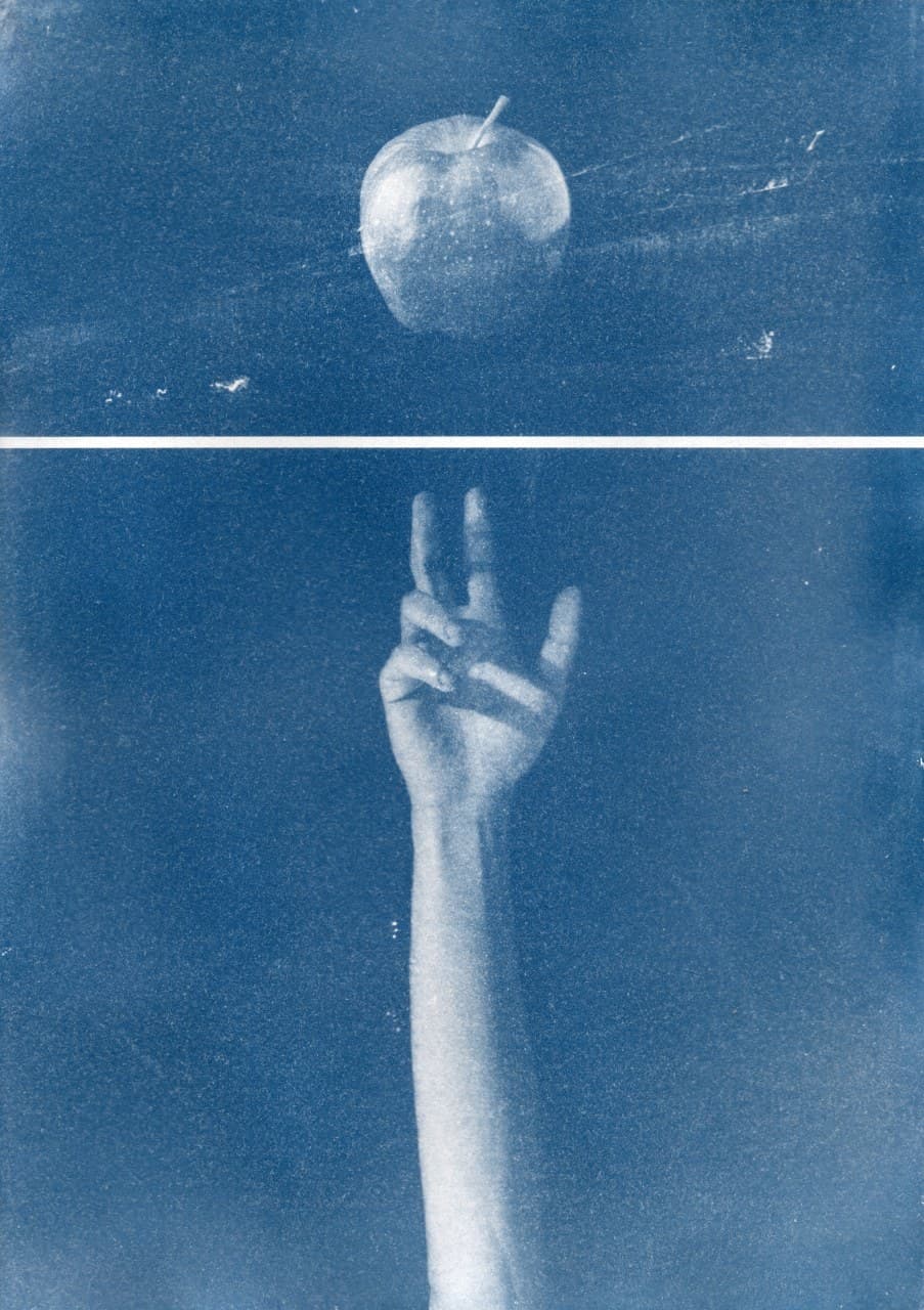auction-image