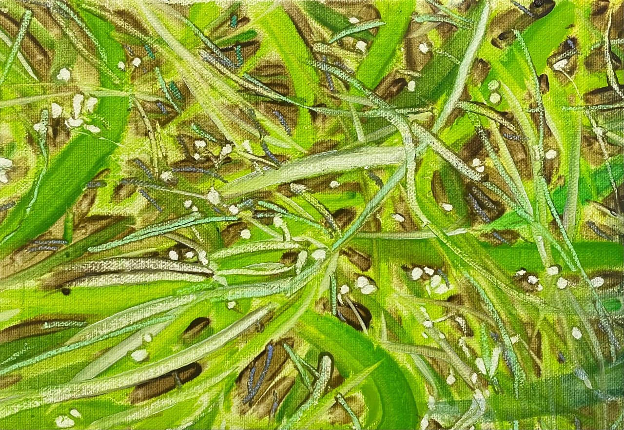 artist-participation-auction-image