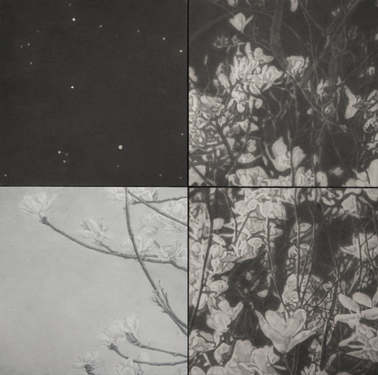 artist-participation-auction-image