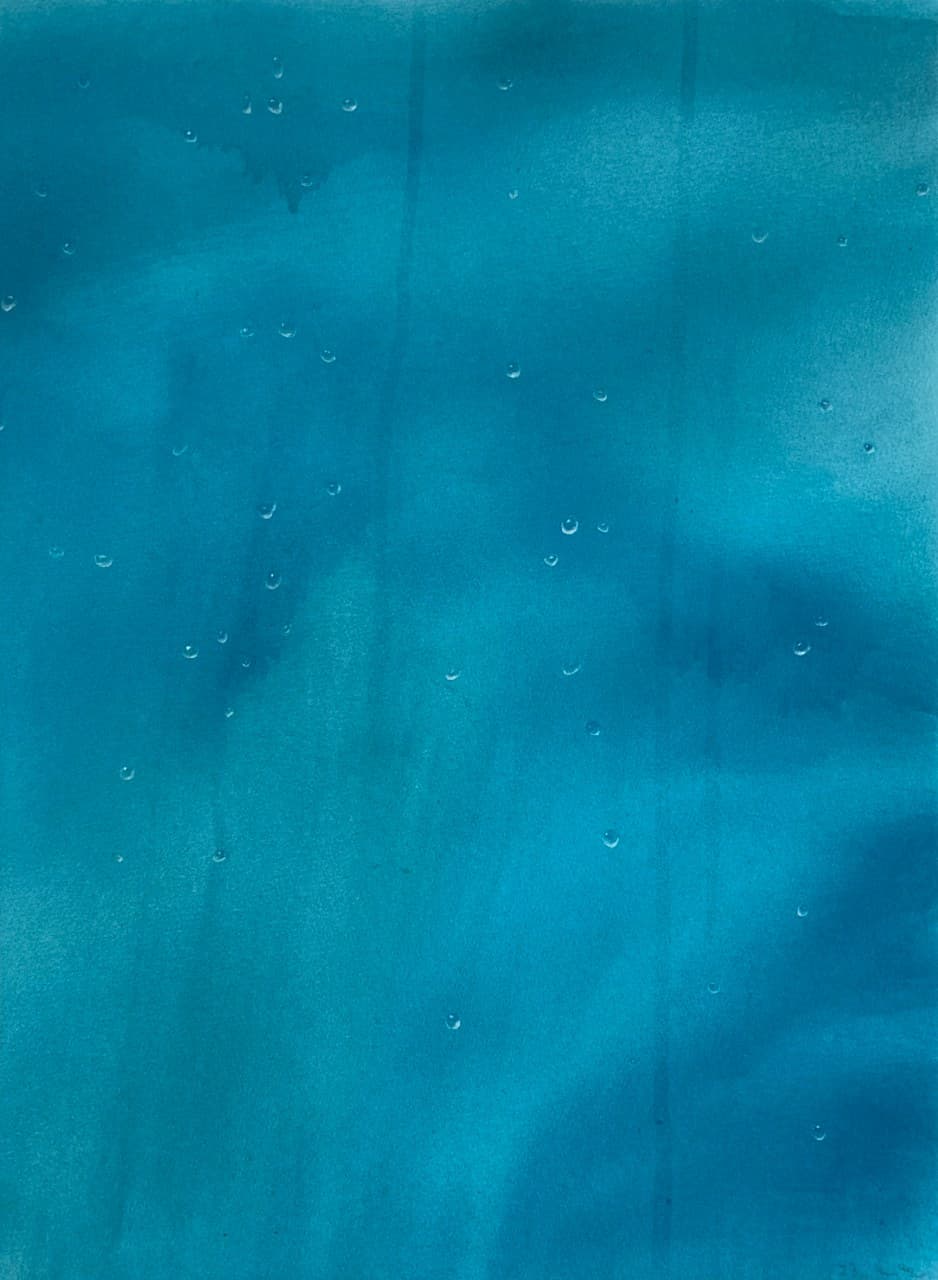 artist-participation-auction-image