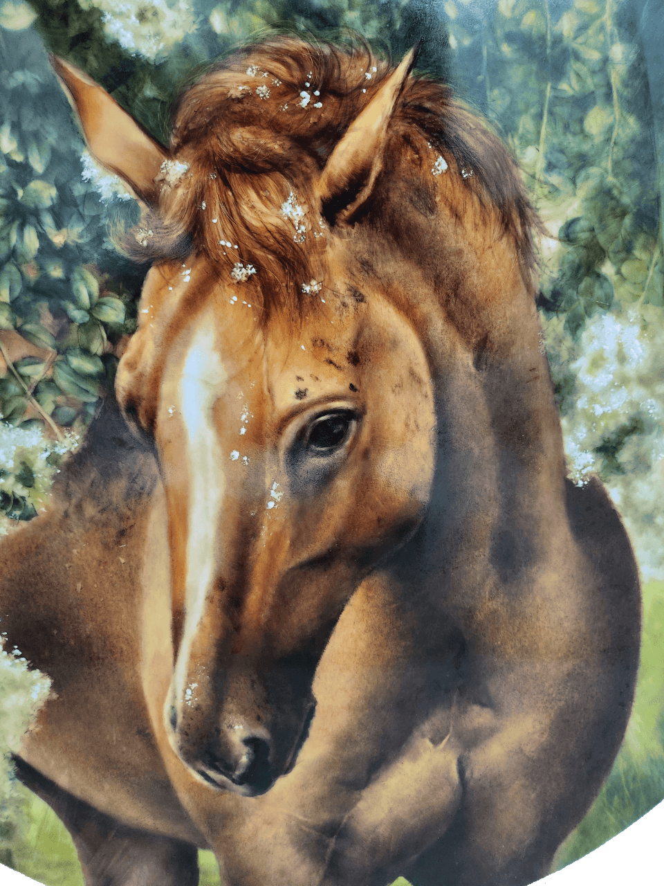 auction-image