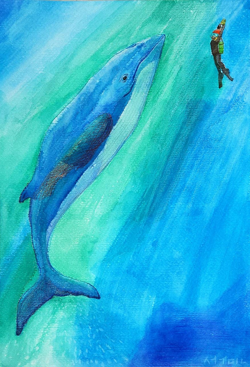 artist-participation-auction-image
