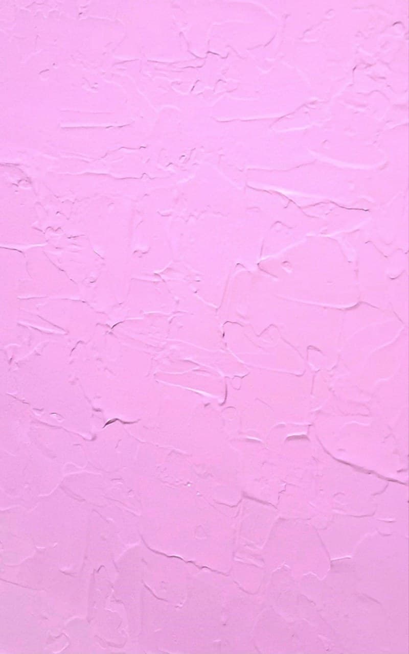auction detail image