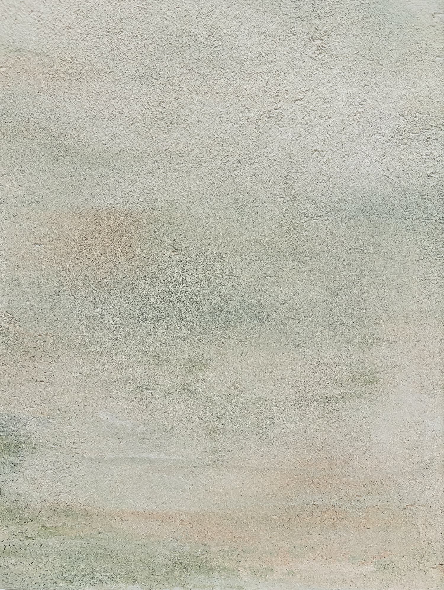 auction detail image