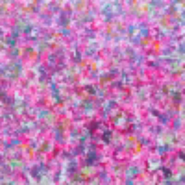 artist image