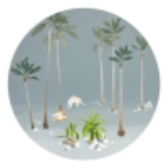 artist image