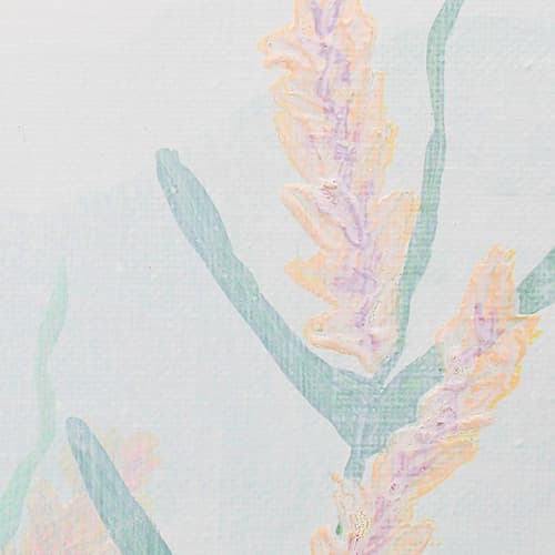 auction detail image